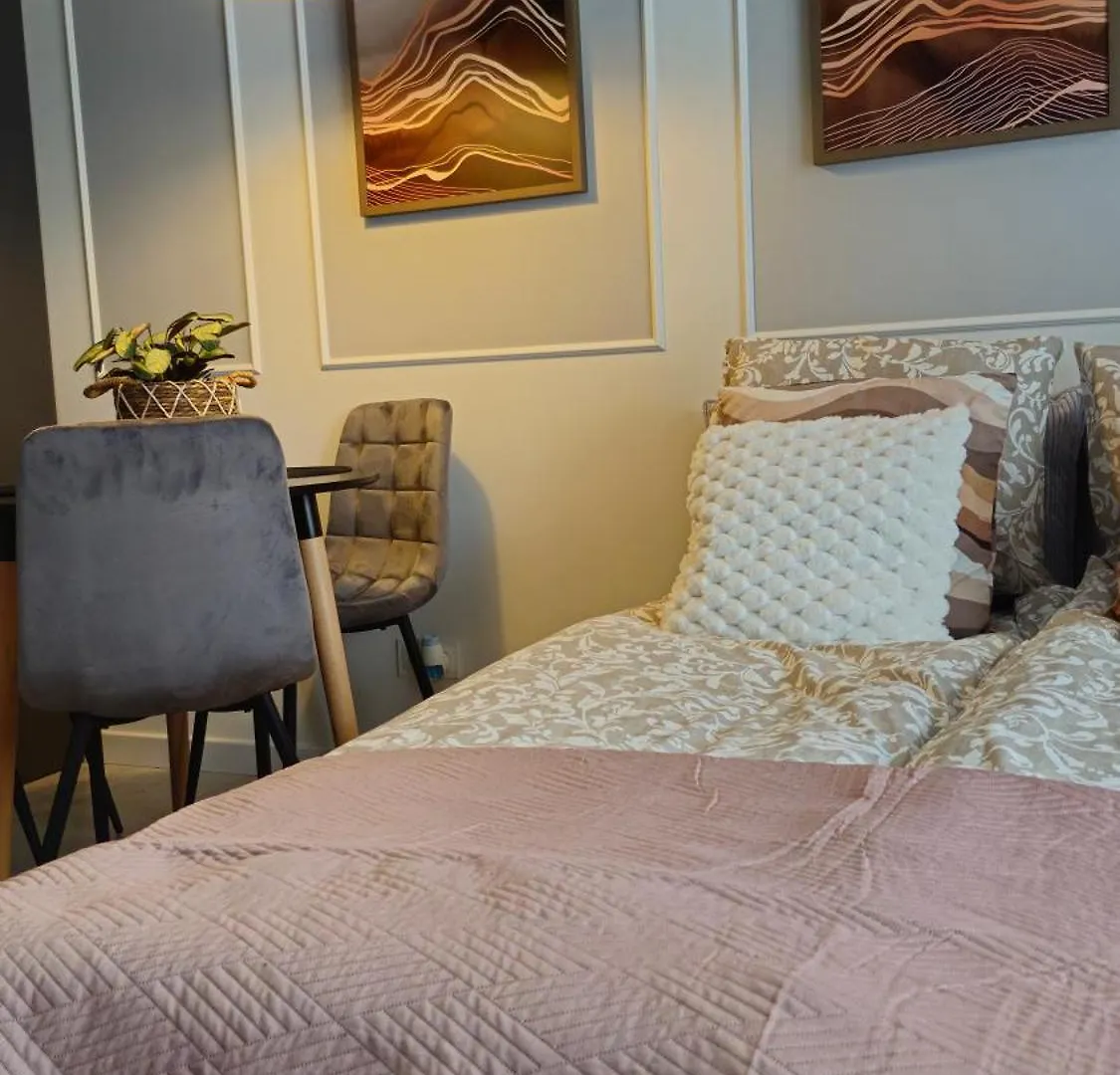 Apartment Elite Home 7 Jezyce- Baranczaka 7 Poznan Poland