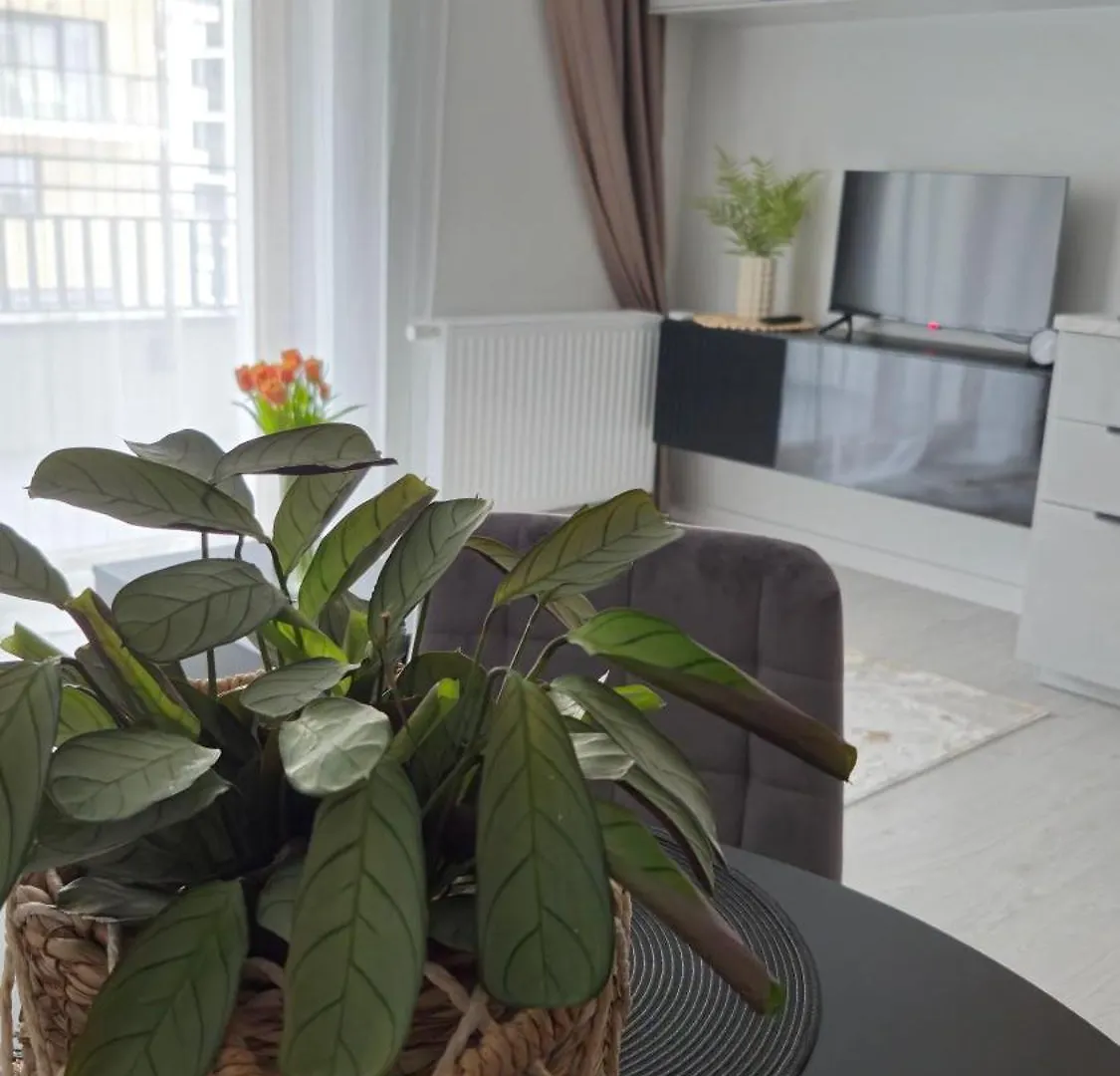 Apartment Elite Home 7 Jezyce- Baranczaka 7 Poznan