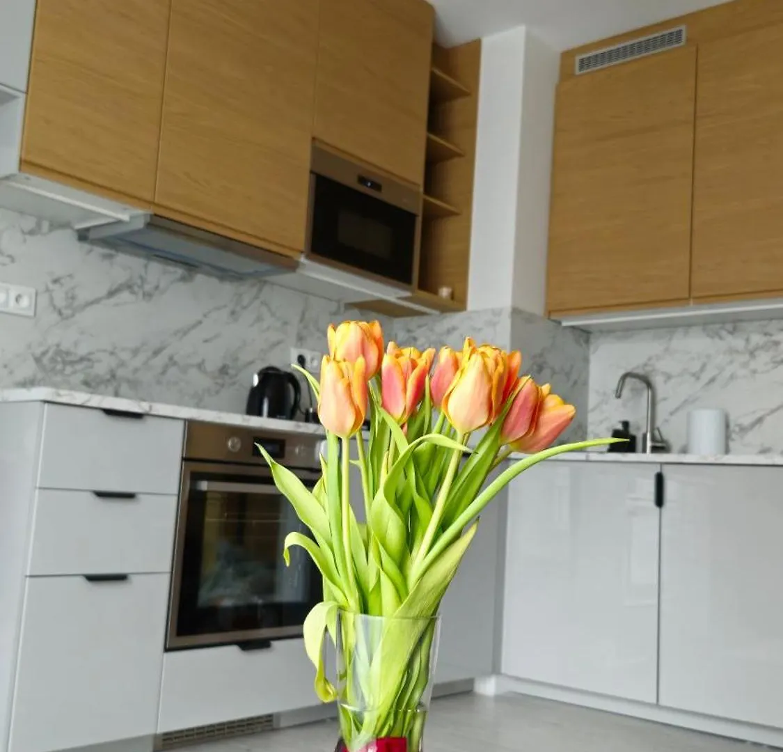 Apartment Elite Home 7 Jezyce- Baranczaka 7 Poznan